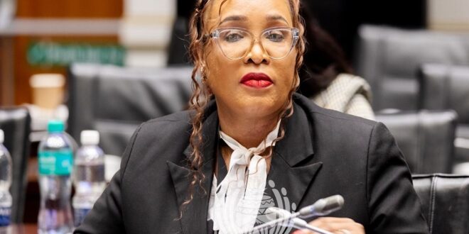 Deputy National Police Commissioner Lieutenant-General Hilda Senthumule testifies before Parliament's Ad Hoc Committee.