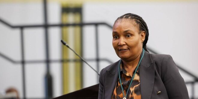 Minister of Human Settlements Thembi Simelane.