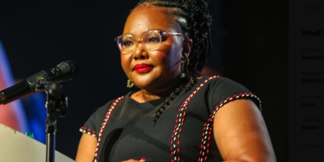 Basic Education Minister Siviwe Gwarube speaking at an event.