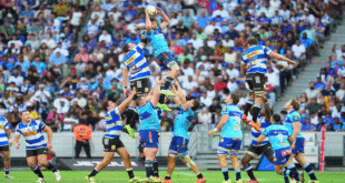 Stormers dominate Bulls 32 19 in URC clash at Loftus