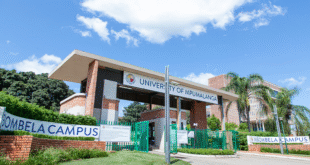 Suspension of transport leaves scores of UMP students stranded