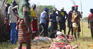The Karamoja rite that shapes power between youth and elders