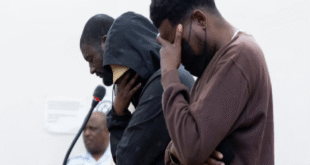 Three Phala Phala farm theft accused back in court