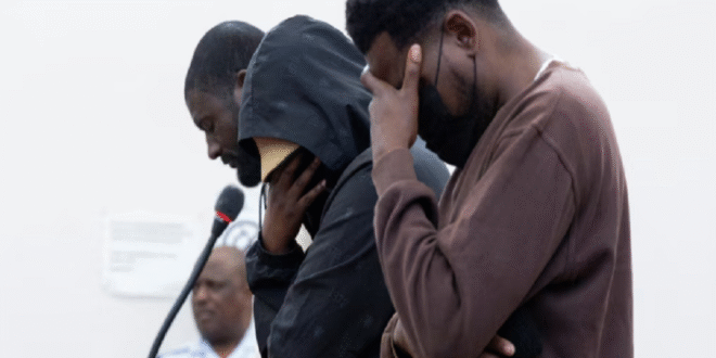 Three Phala Phala farm theft accused inspire in court