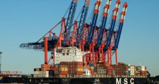 US investigates 60 nations over labour practices in supply chains