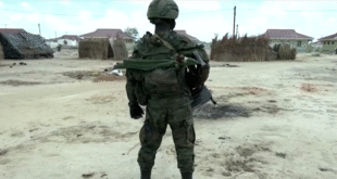 US sanctions on Rwanda risk destabilising Mozambique mission Analyst