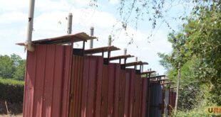 Uganda should involve students in open defecation fight