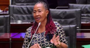 Former Deputy National Police Commissioner for Support Services, Francinah Vuma testifies before Parliament's Ad Hoc Committee.
