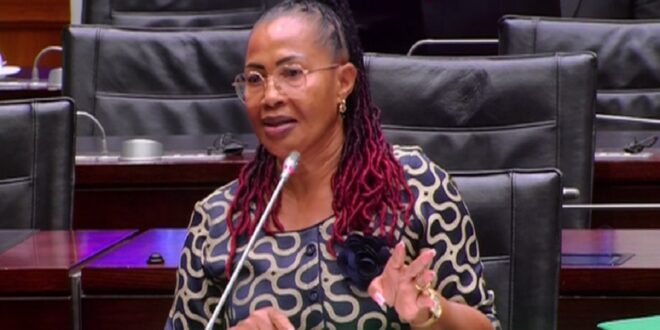 Former Deputy National Police Commissioner for Support Services, Francinah Vuma testifies before Parliament's Ad Hoc Committee.