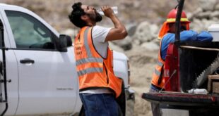 A construction worker seen drinking water during a hot day.