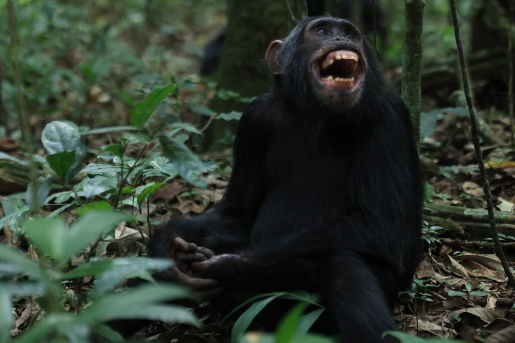 Whatsapp Image 2026-05-27 At 7.05.56 Pm